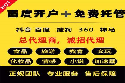 百度竞价推广公司经典案例解析：广告投放策略的智慧